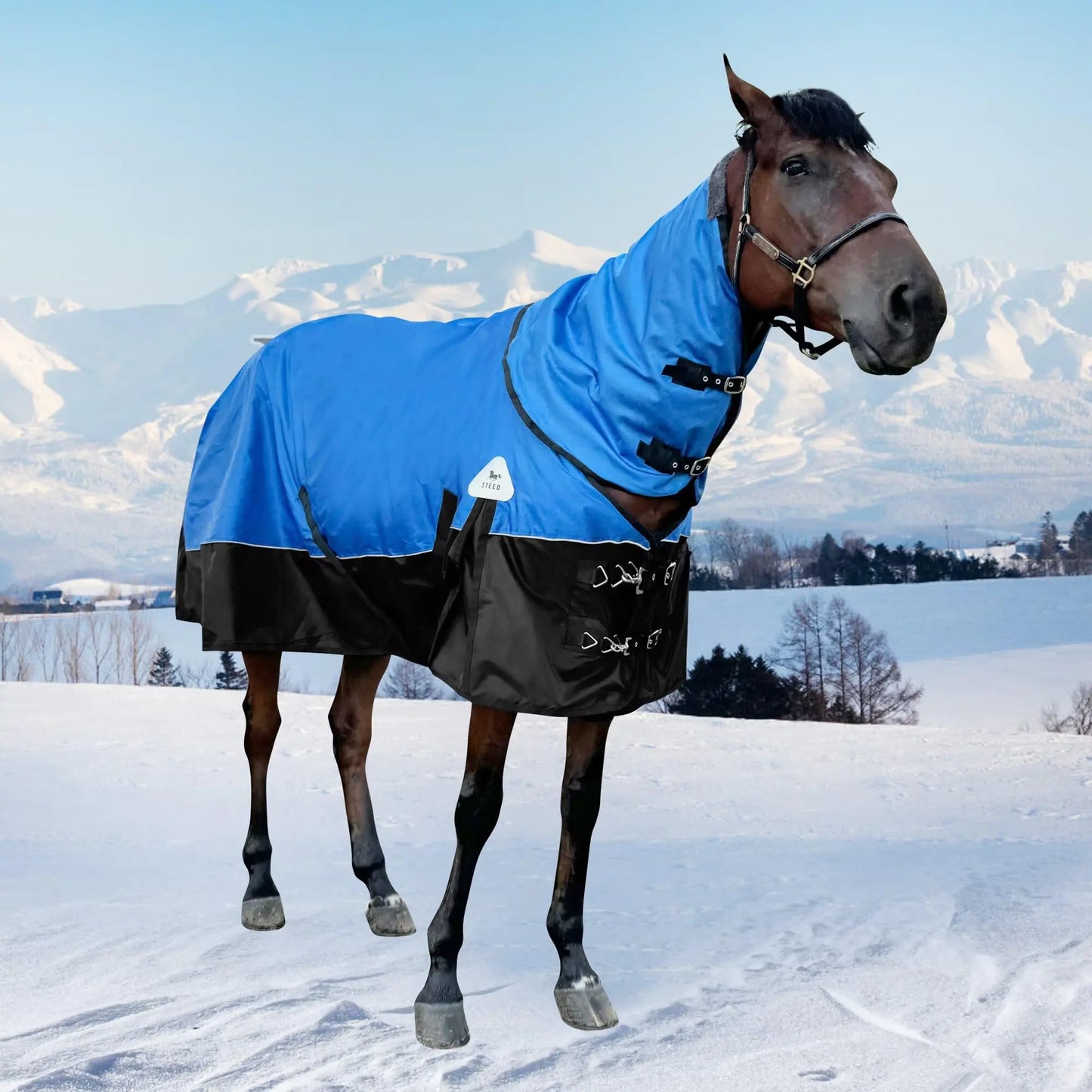 1680 D Horse Blanket Horse Turnout Blanket with Detachable Neck Cover 400g Filling Thicken Horse Sheet Waterproof Snow Proof Blanket for Horse