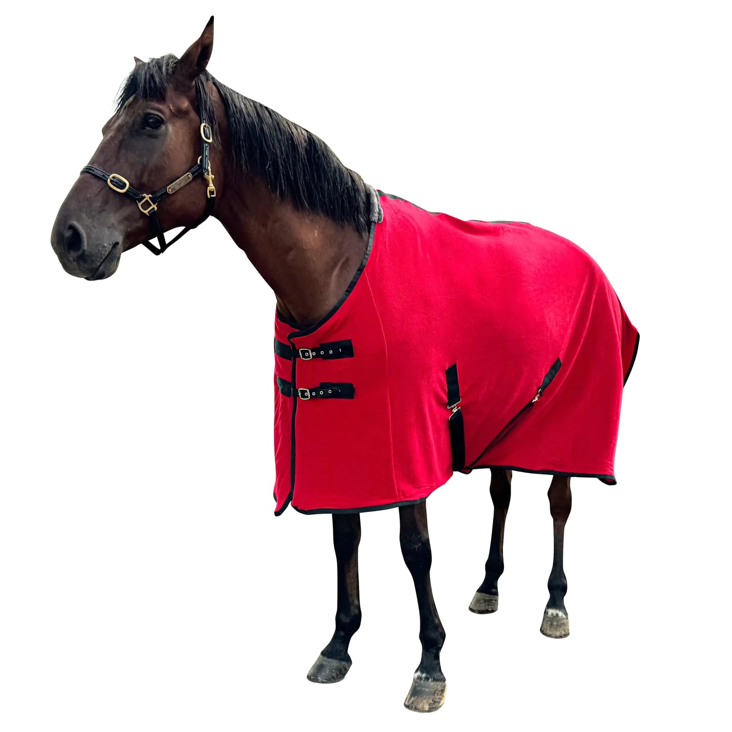 Fleece Horse Blankets Polar Fleece Cooler Horse FleecesFleece Horse Blankets Horse Cooler Fleece Blankets for HorsesHorse Exercise SheetHorse Care Blanket 78 inchesRed 145cm