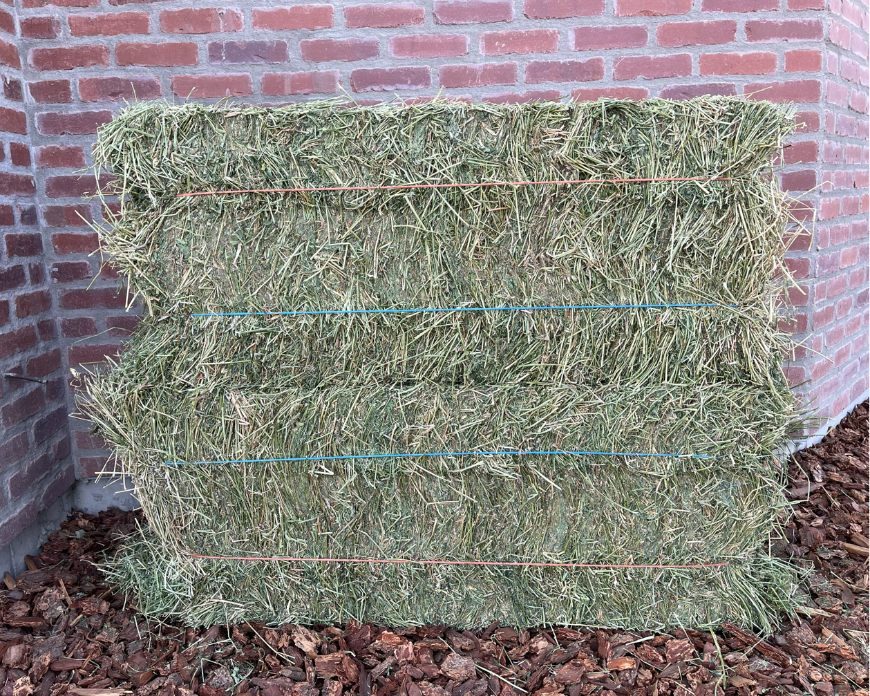 Alfalfa Hay
