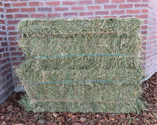Alfalfa Hay