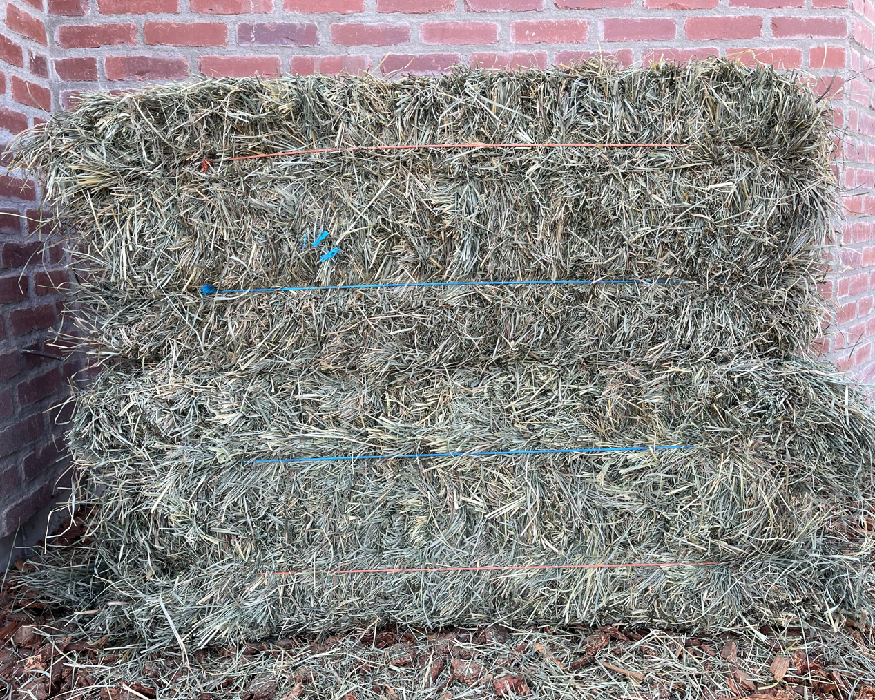 Orchard Grass Hay