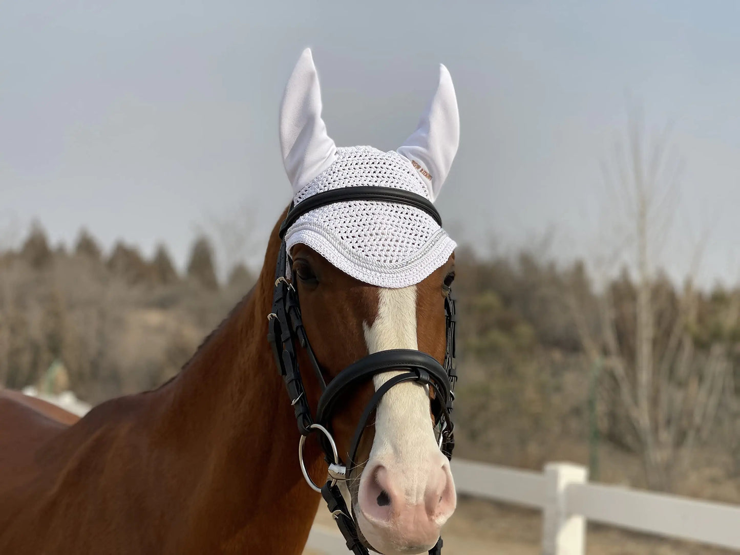 TGW RIDING Horse Ear Bonnet/Net/Hat/Horse Fly Hood/Mask Horse Fly Veil Horse Fly Bonnet (Pony White)