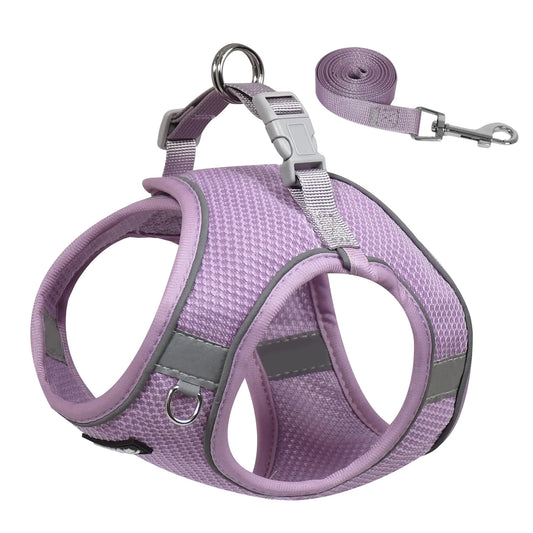 AIITLE Dog Harness for Medium Sized Dog No-Pull Dog Vest with a Leash Breathable Mesh Reflective Stripes Escape Proof Pet Outdoor Harnesses Puppy Essentials for Medium Dogs Purple M