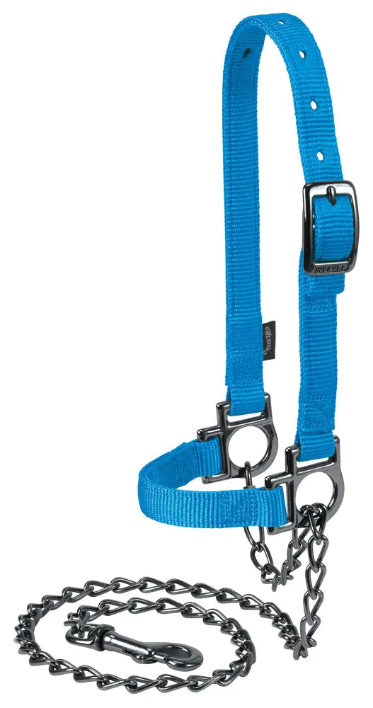 Weaver Leather Livestock Nylon Adjustable Sheep Halter with Chain Lead Blue