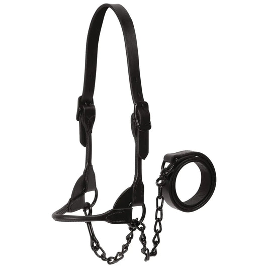 Weaver Leather Livestock Black Magic Show Halter Small