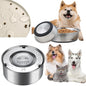 3 PCS Dog Bowl Kit Includes Stainless Steel Water Bowl(33oz)Food Bowl(4Cups) and Pet MatNew Dog Cat Essentials can Keep Floor Clean When Feeding Small Dogs and CatsGreat Gift for Enjoy Diet(S)