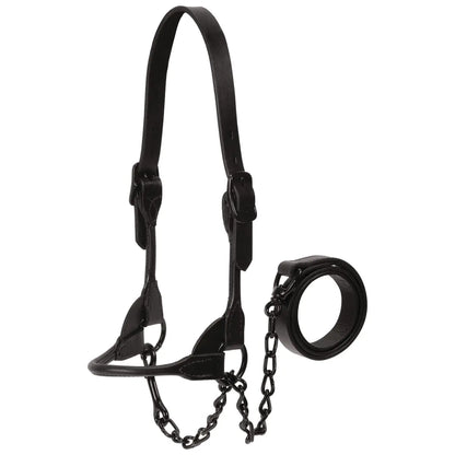 Weaver Leather Livestock Black Magic Show Halter Small