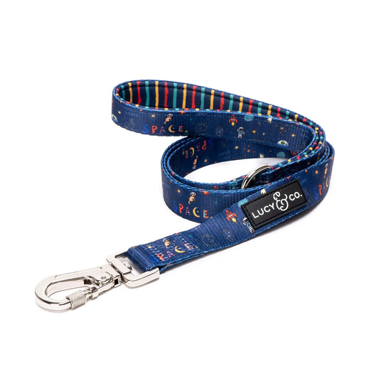 Lucy & Co. 5 Foot Dog Leash - Best Designer Dog Leashes - Leash for Big Dogs Small Dog Leash or Medium Dog Leash - Puppy Leash - Dog Accessories - Dog Supplies (Space Doodle Small)…